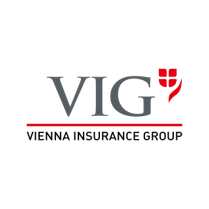 VIG logo