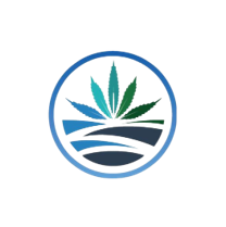 High Tide logo