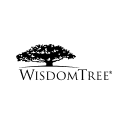 WisdomTree Quantum Computing ETF USD logo