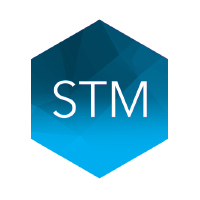 STM Group logo