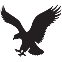 Amer Eagle Out logo