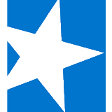 Starwd Property logo