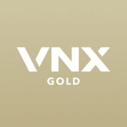 VNX Gold logo