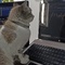 image de profil