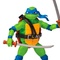 image de profil