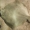 image de profil